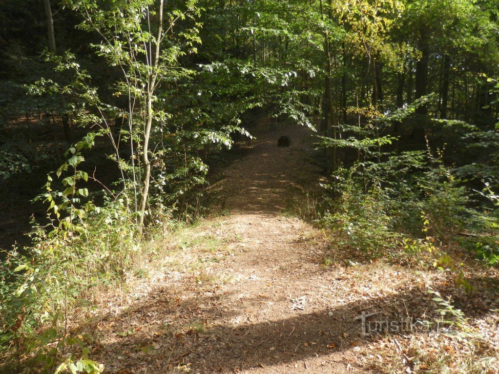 La passerelle du diable vue du terrain