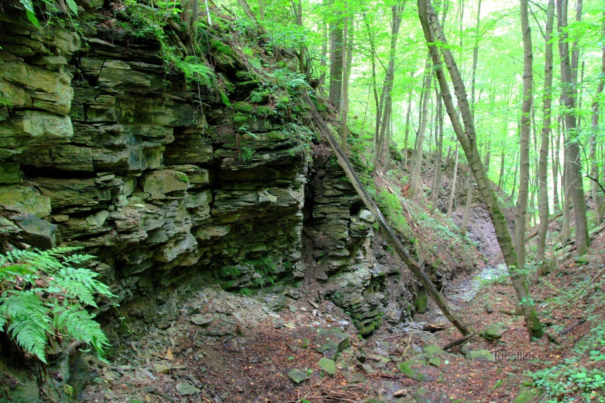 Devil's Ravine