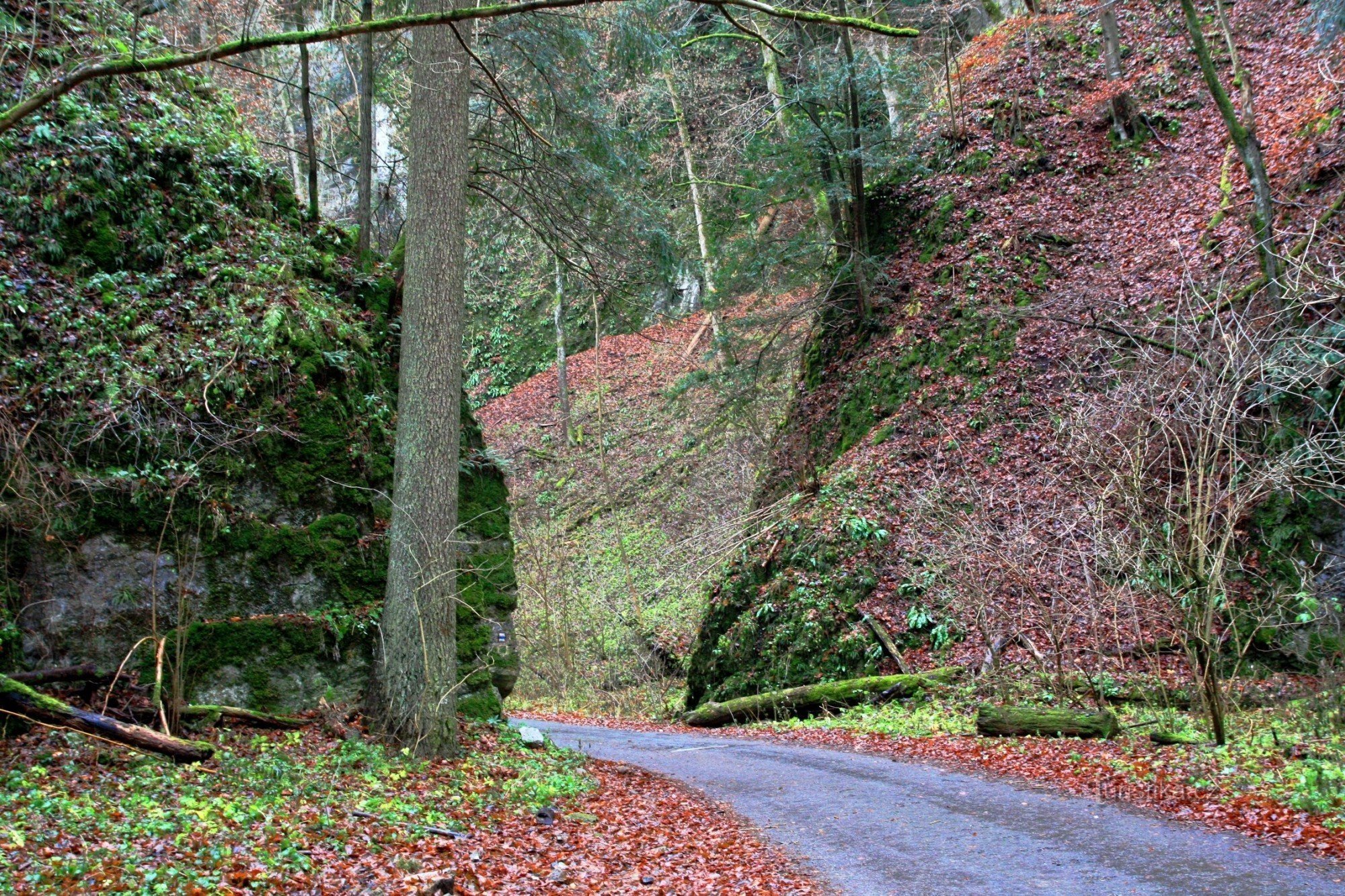 Devil's Gate in the Desolate Hollow