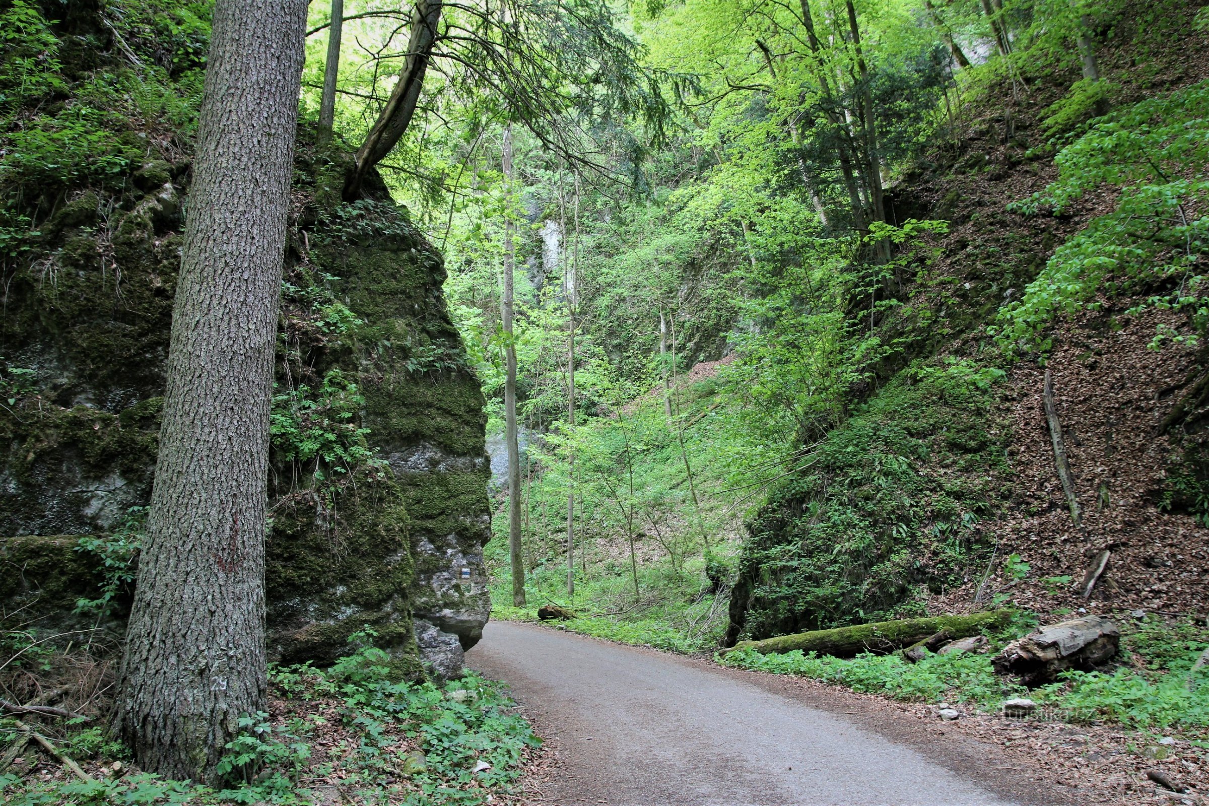 Devil's Gate i Desolate Hollow