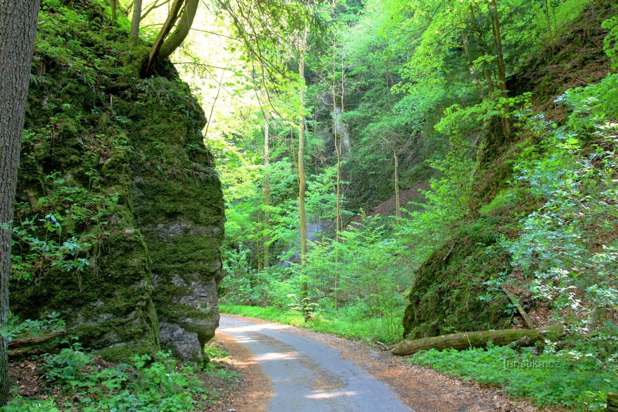 Porte du Diable à Desolate Hollow