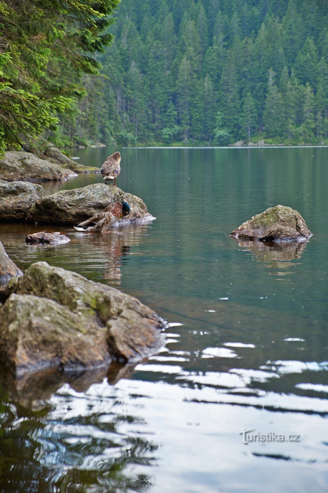 Lake diabła