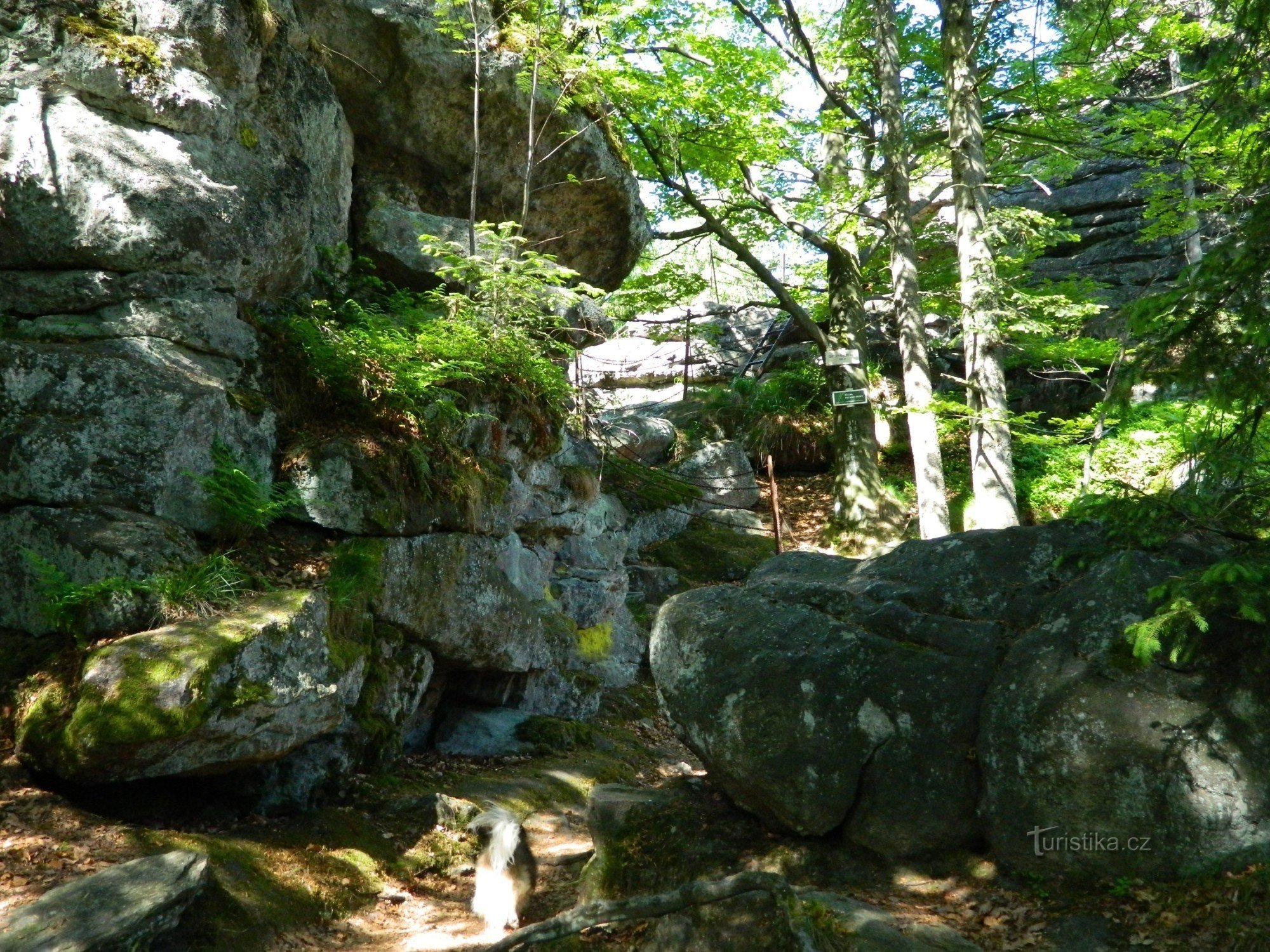 Devil's stones - lookout point