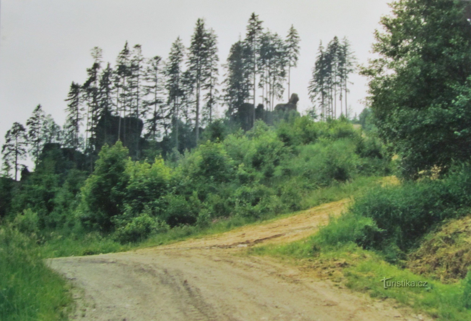 Diabelskie Skały - widok z tyłu