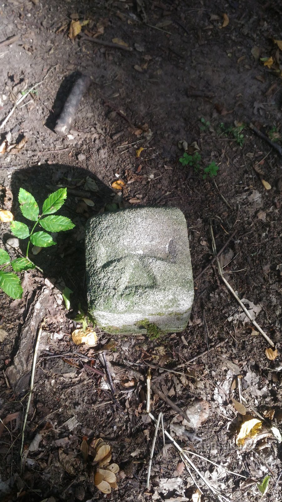 De Duivelsmolen en de bovenste trap van de Vaňovský-waterval.