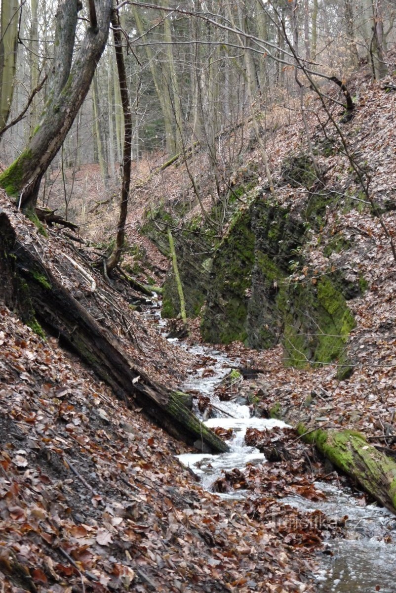 Červená rokle, Výskoky et Kamenná – la nature sauvage non loin de Prague