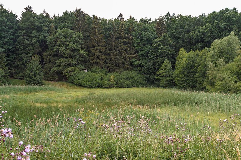 Třemesná rouge