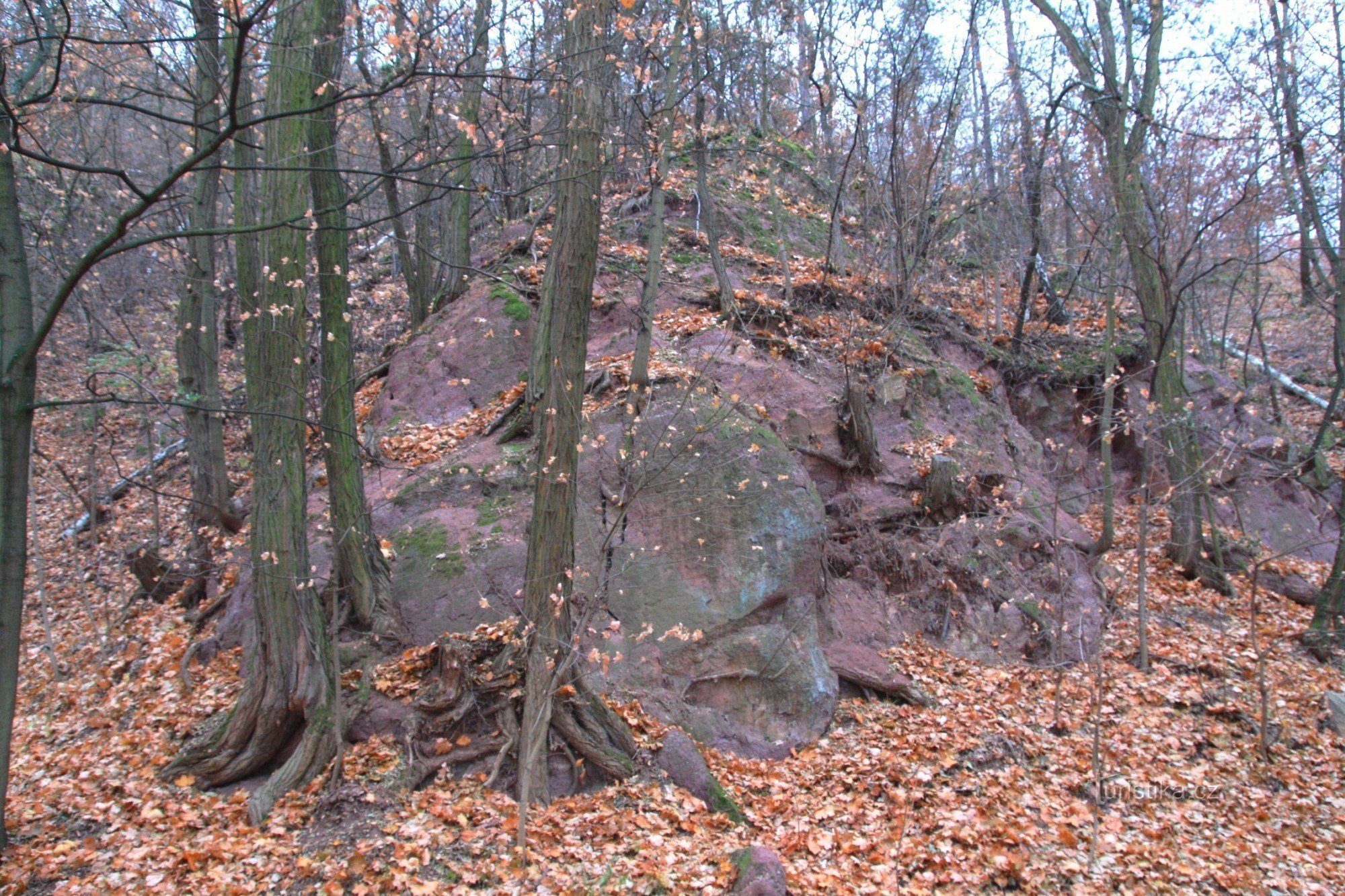 Rocas de conglomerado rojo en el área protegida Mahenova straň
