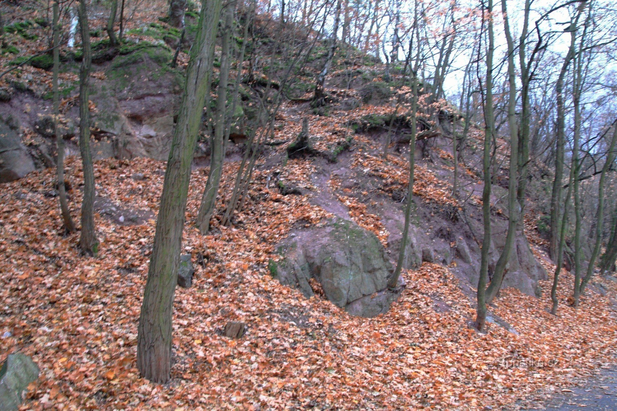 Rocas de conglomerado rojo en el área protegida Mahenova straň