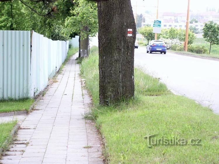 The red-marked route from the Prague Bridge