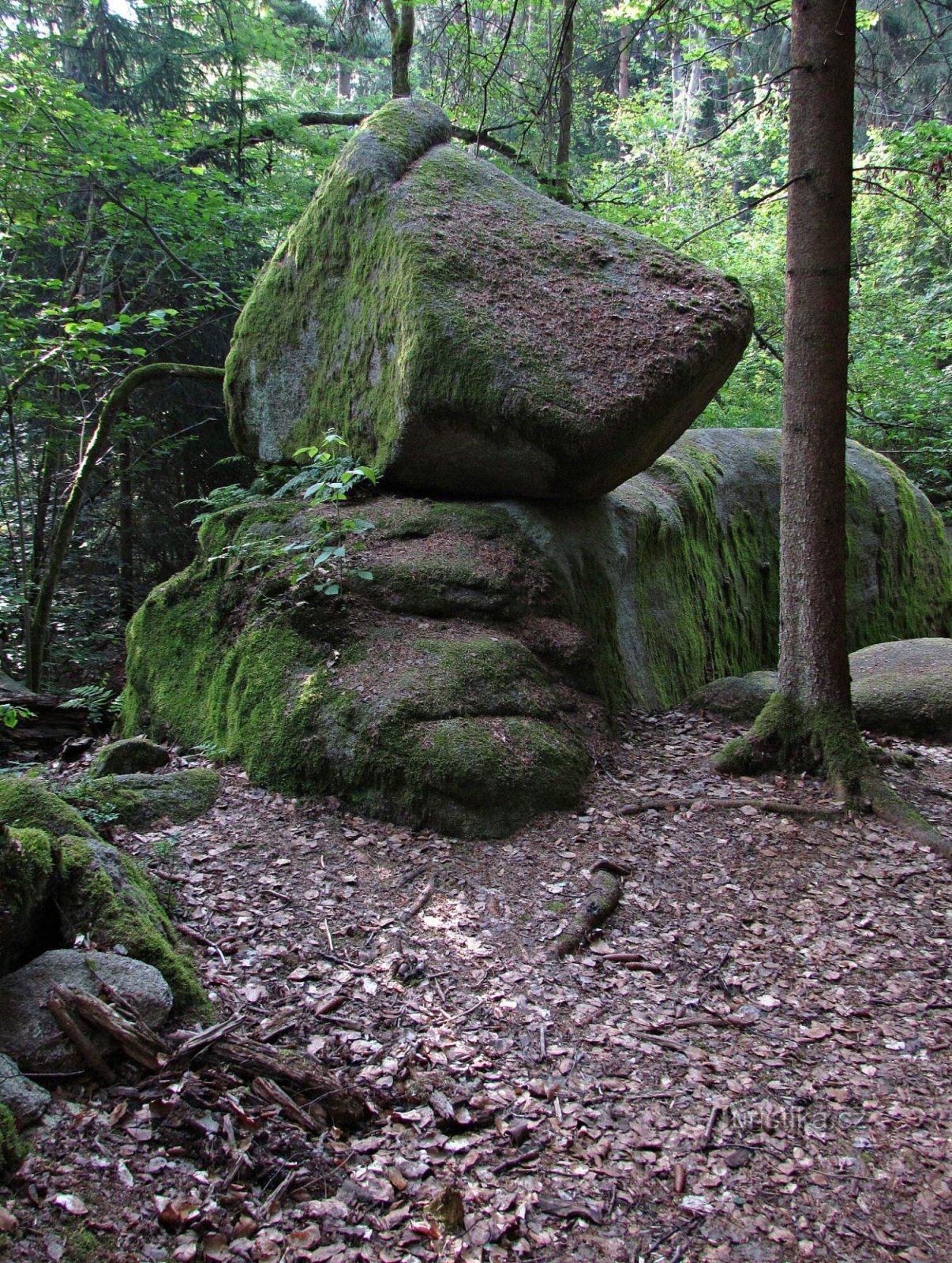 Canada Cehă - Philip's Stones