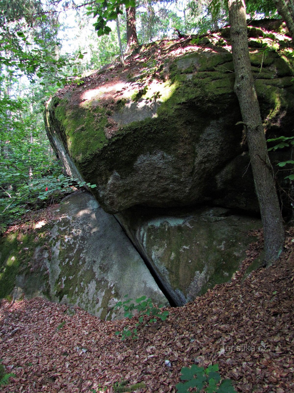 捷克加拿大 - 菲利普的石头