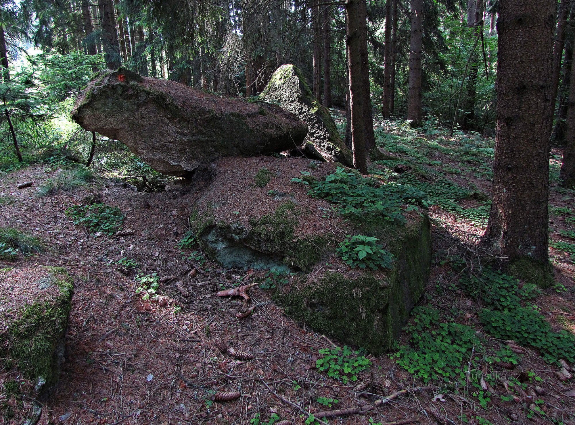 Czech Canada - at the crossroads near the Stálkovské rocks