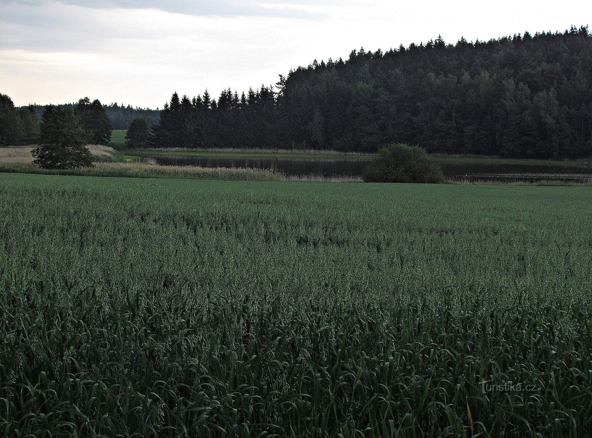 Czeska Kanada - Panský rybník za Stoječín