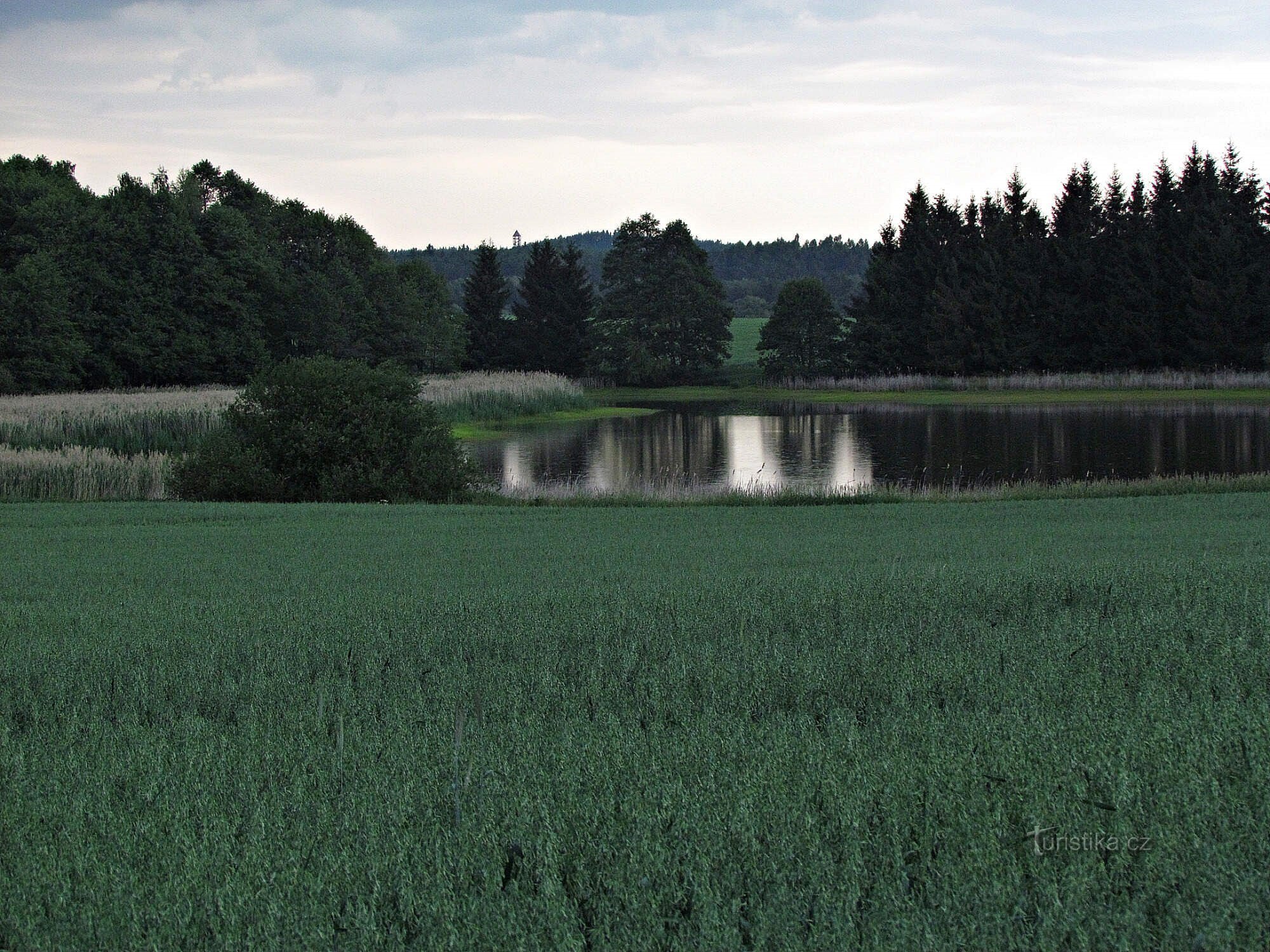 Tcheco Canadá - Panský rybník atrás de Stoječín