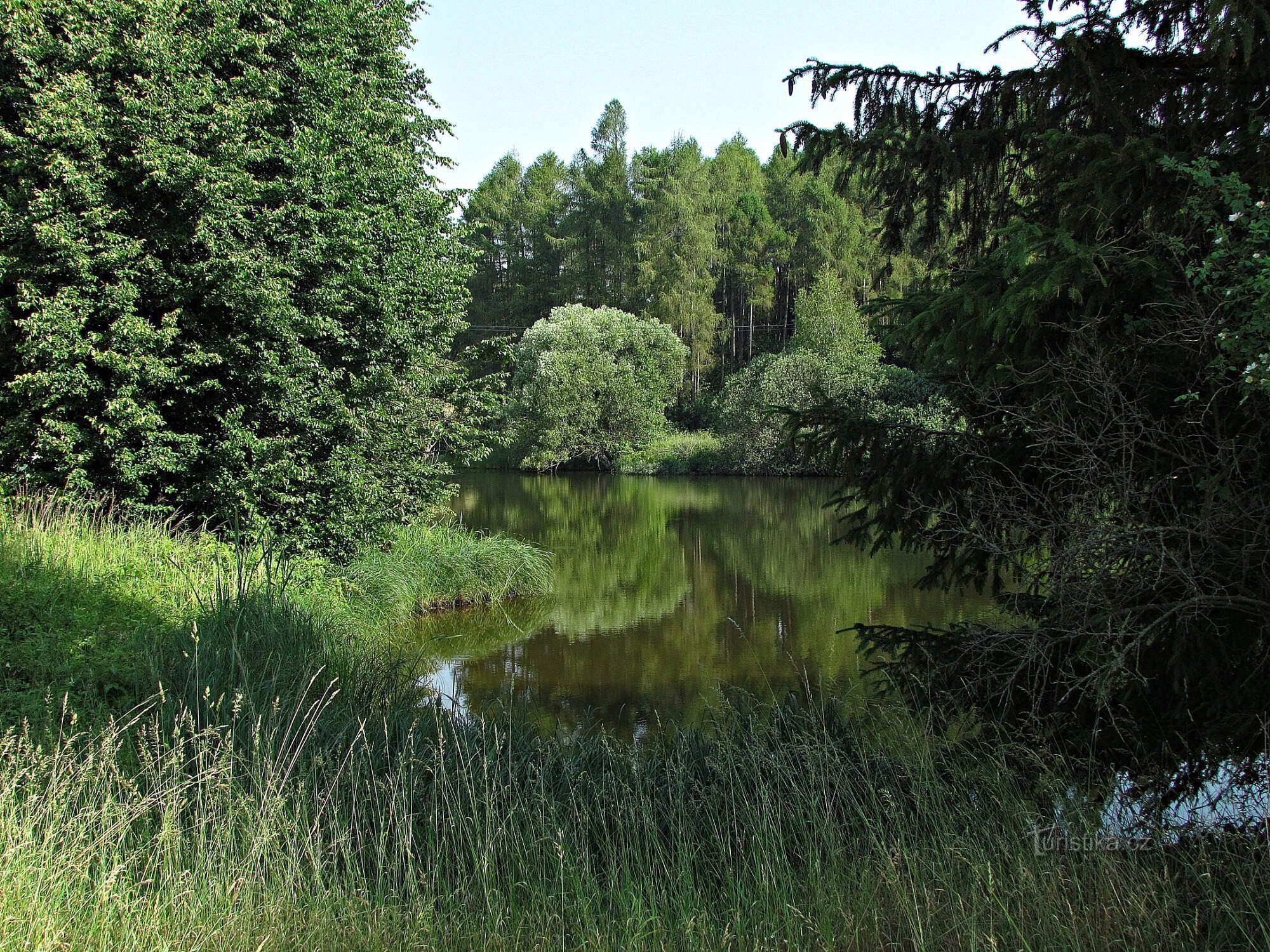 Tsjechisch Canada - Malý Troubný-vijver