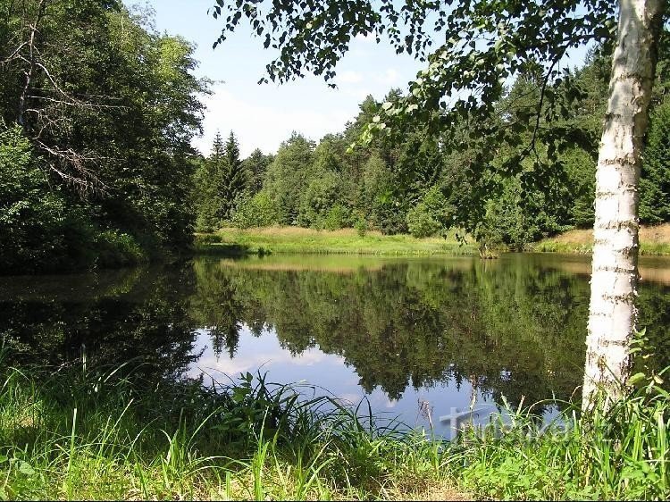 Tsjechisch Canada: Vijver onder kasteel Landštejn