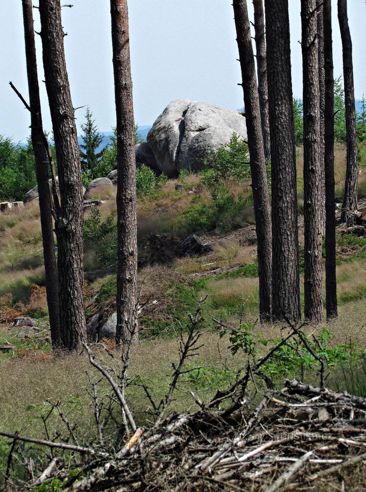 Canada ceco - Formazioni rocciose vicino al sentiero del Grasel