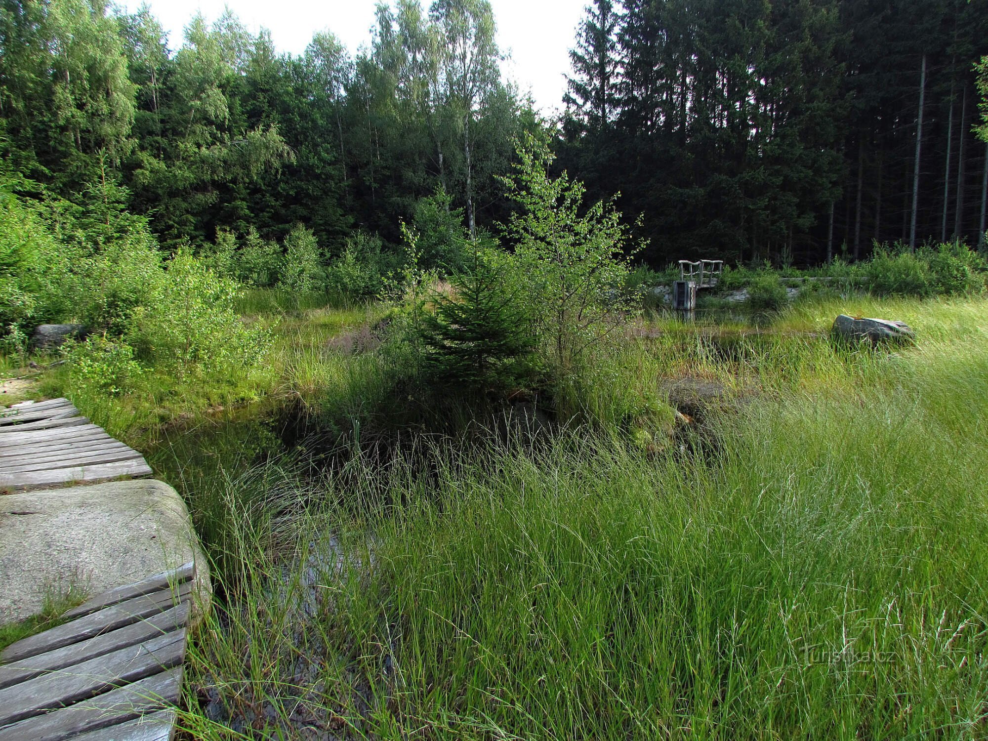 Czech Canada - Štrpské pleso