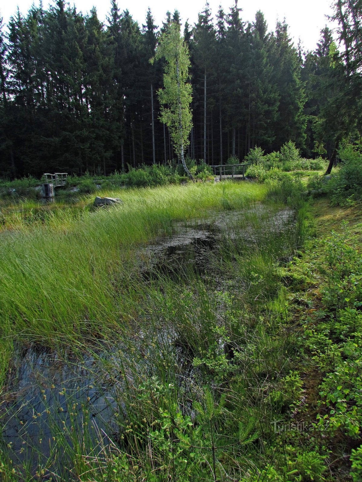 Чеська Канада - Štrpské pleso