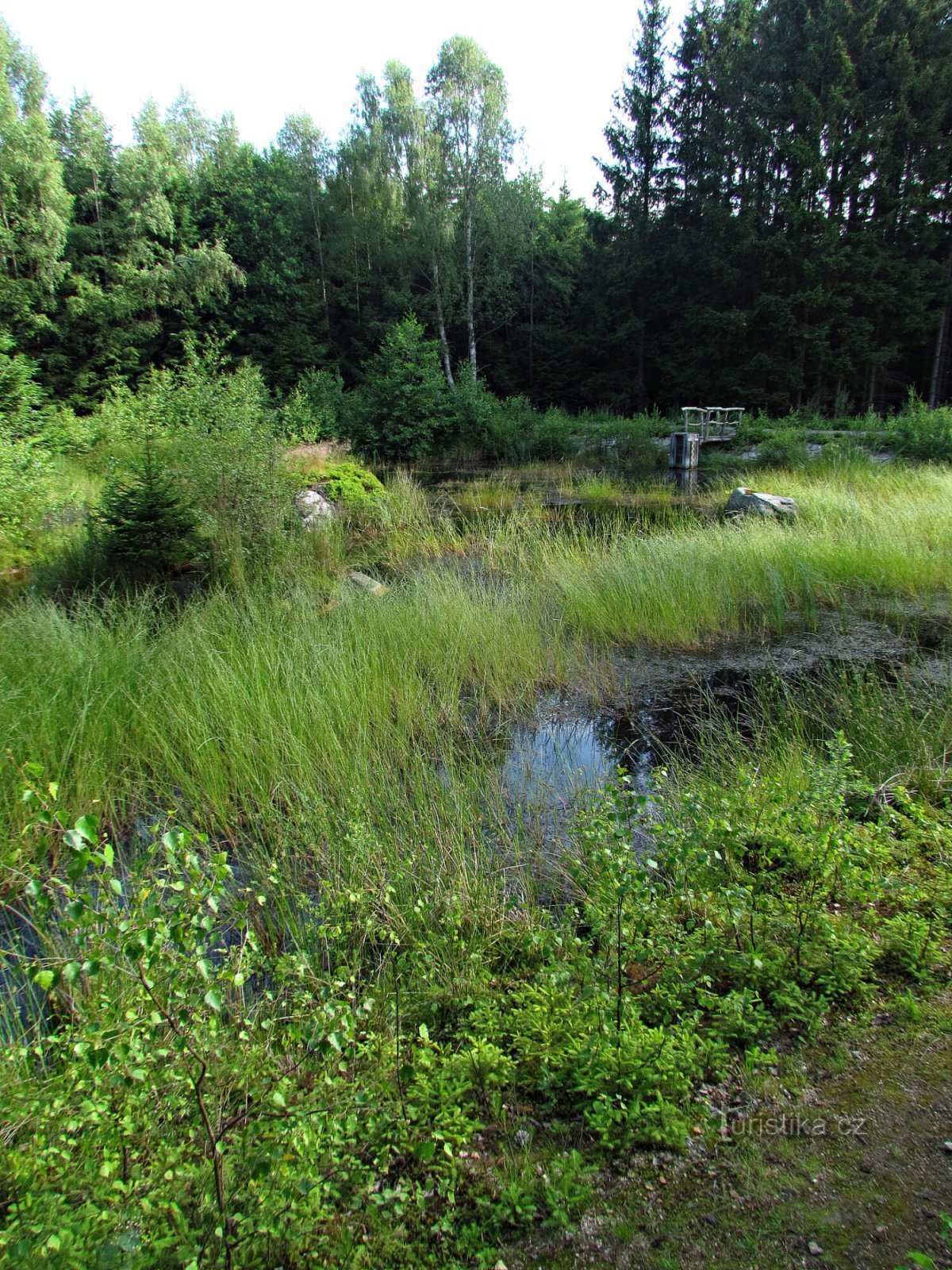 República Checa Canadá - Štrpské pleso