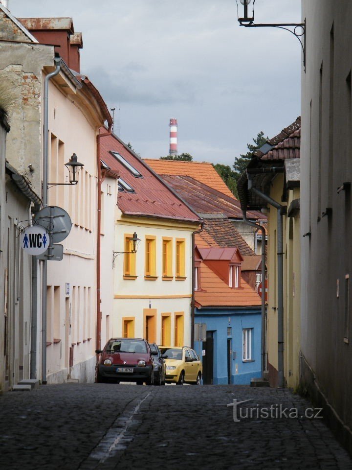 Czech Linden