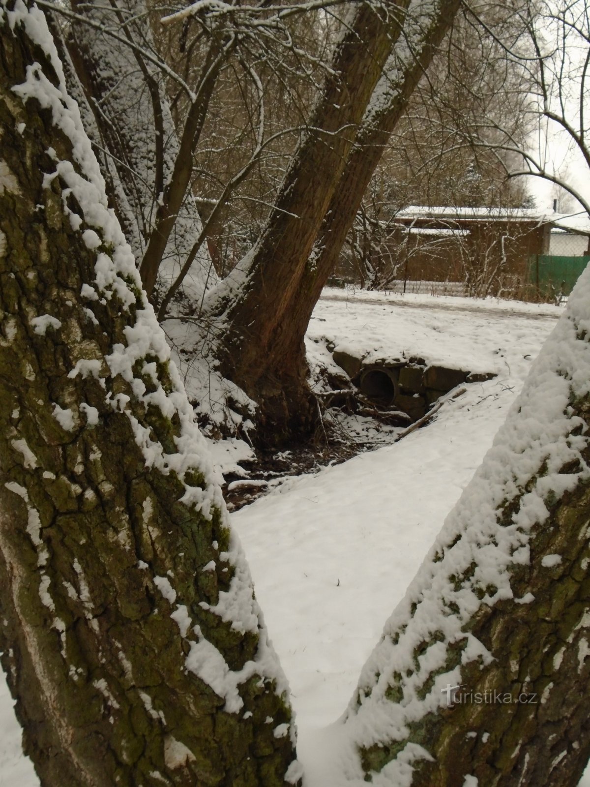 ČESKÉ BUDĚJOVICE-PARK STROMOVKA