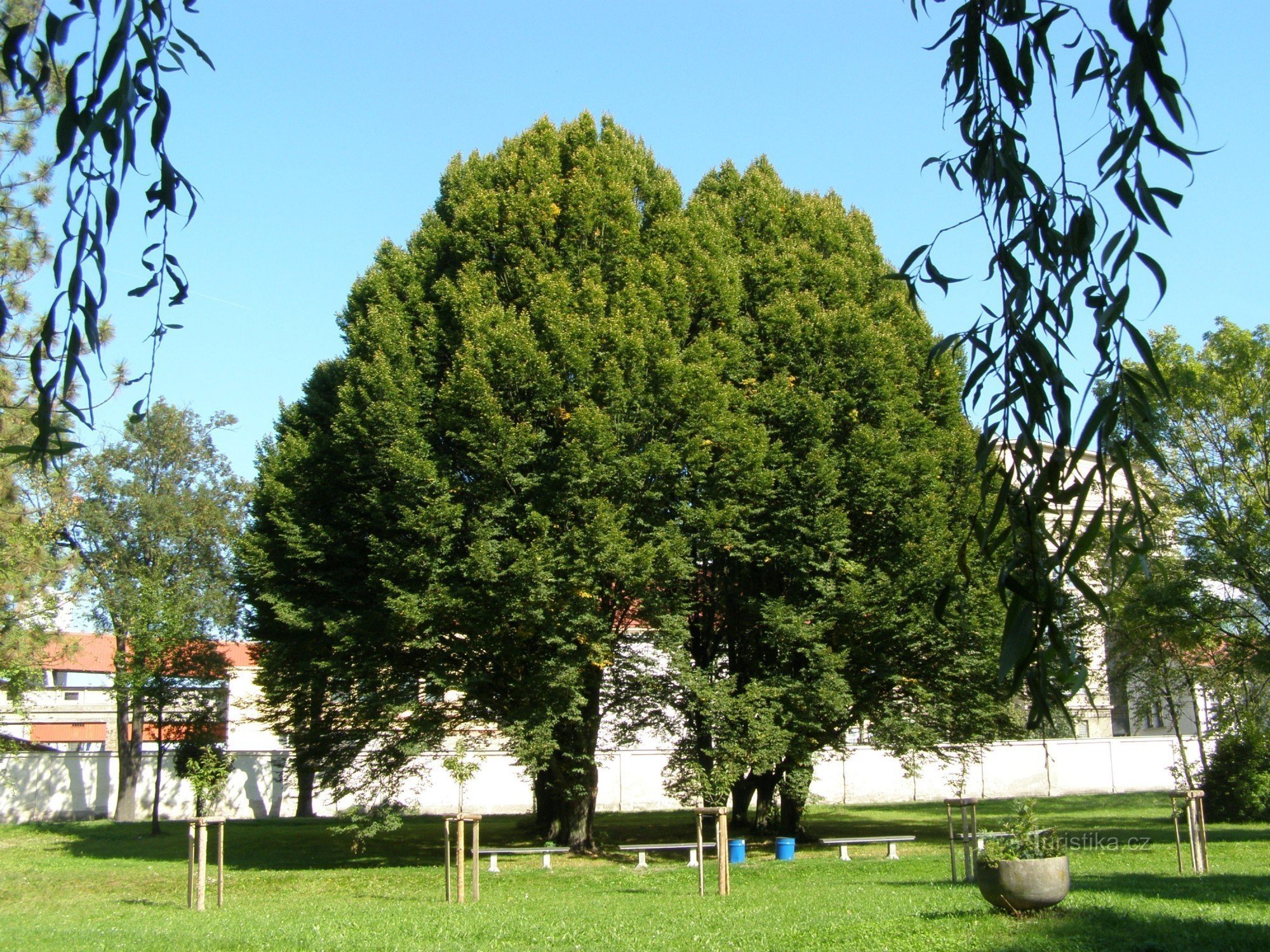 České Meziříčí - Park