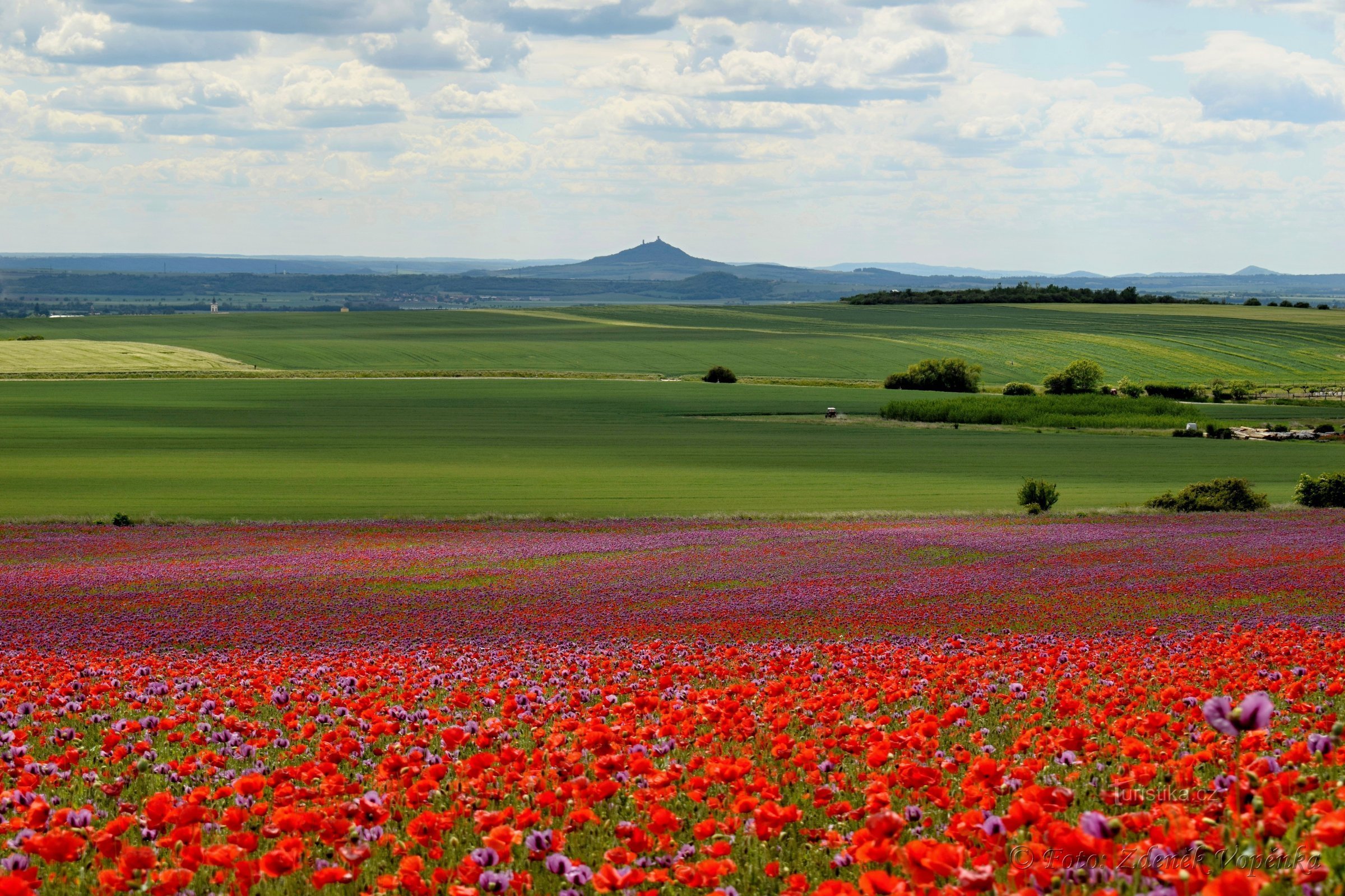 Bohemian Central Highlands.