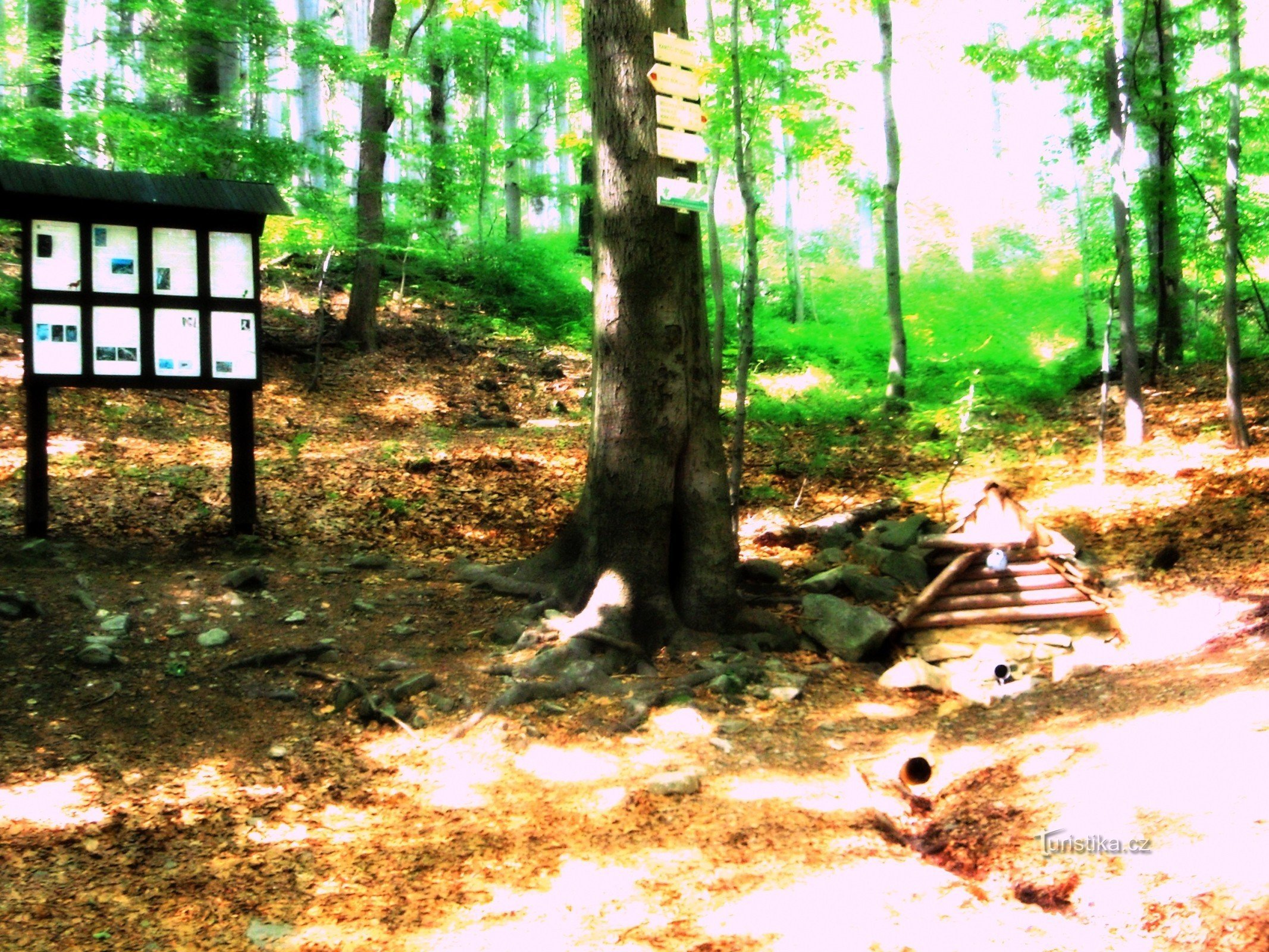 Českolipsko - severní část