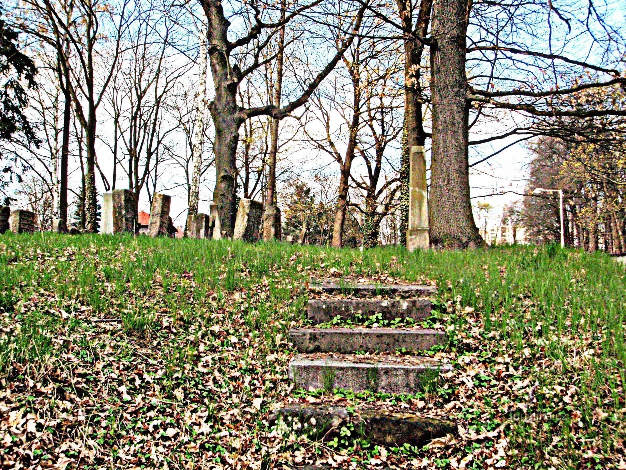 Ceskolip Vecchio Cimitero Ebraico