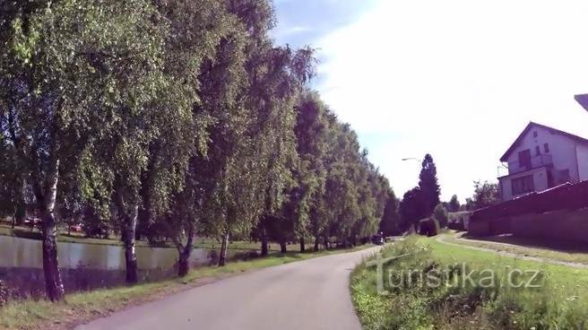 Českou Kanadou z Nové Bystřice na hrad Landštejn