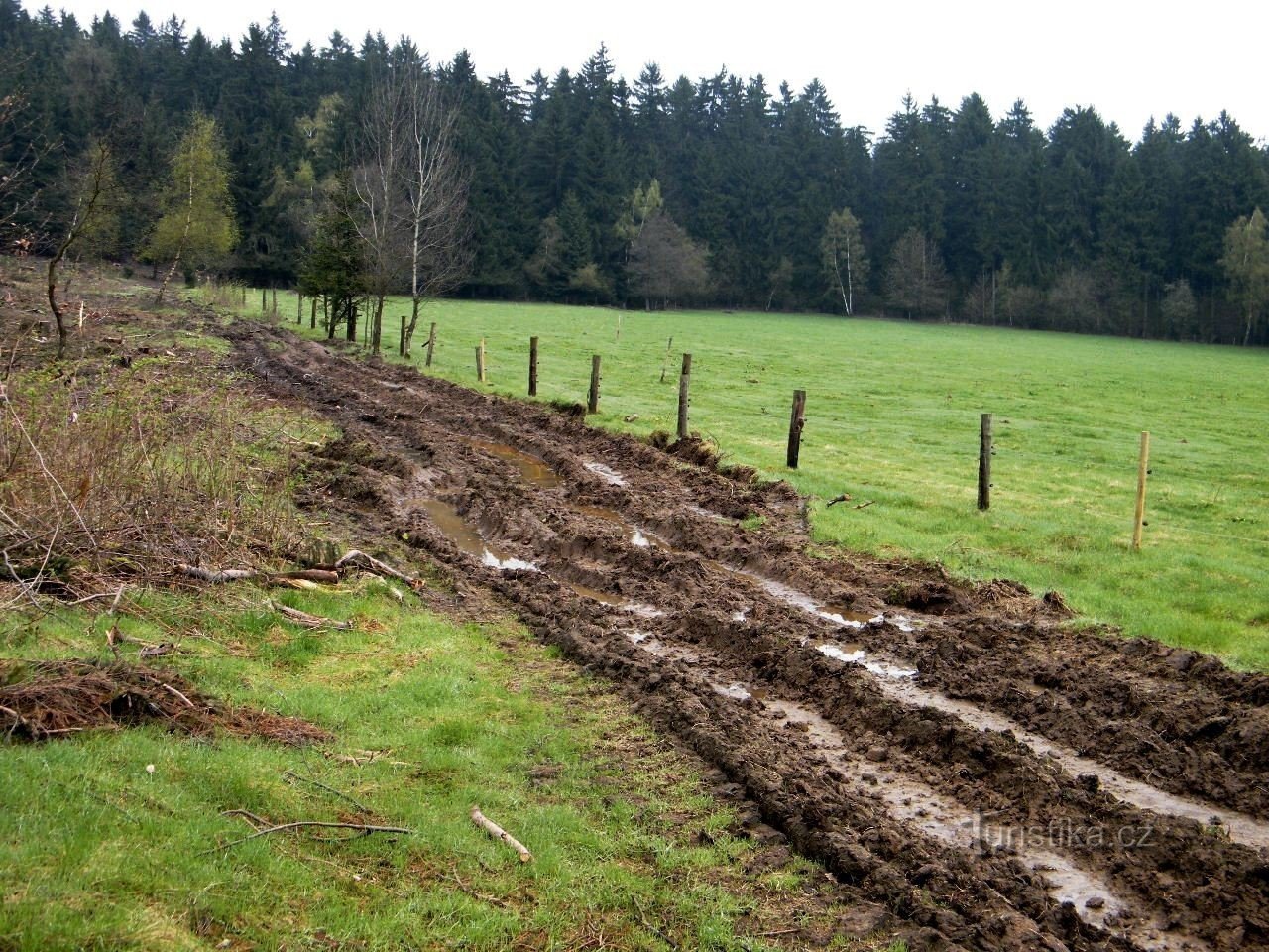 Szumawa, część druga - Pivoňské hory