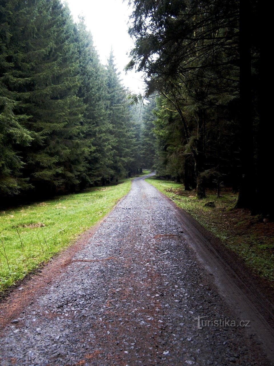 Český les, díl prvý - Medvědí hory