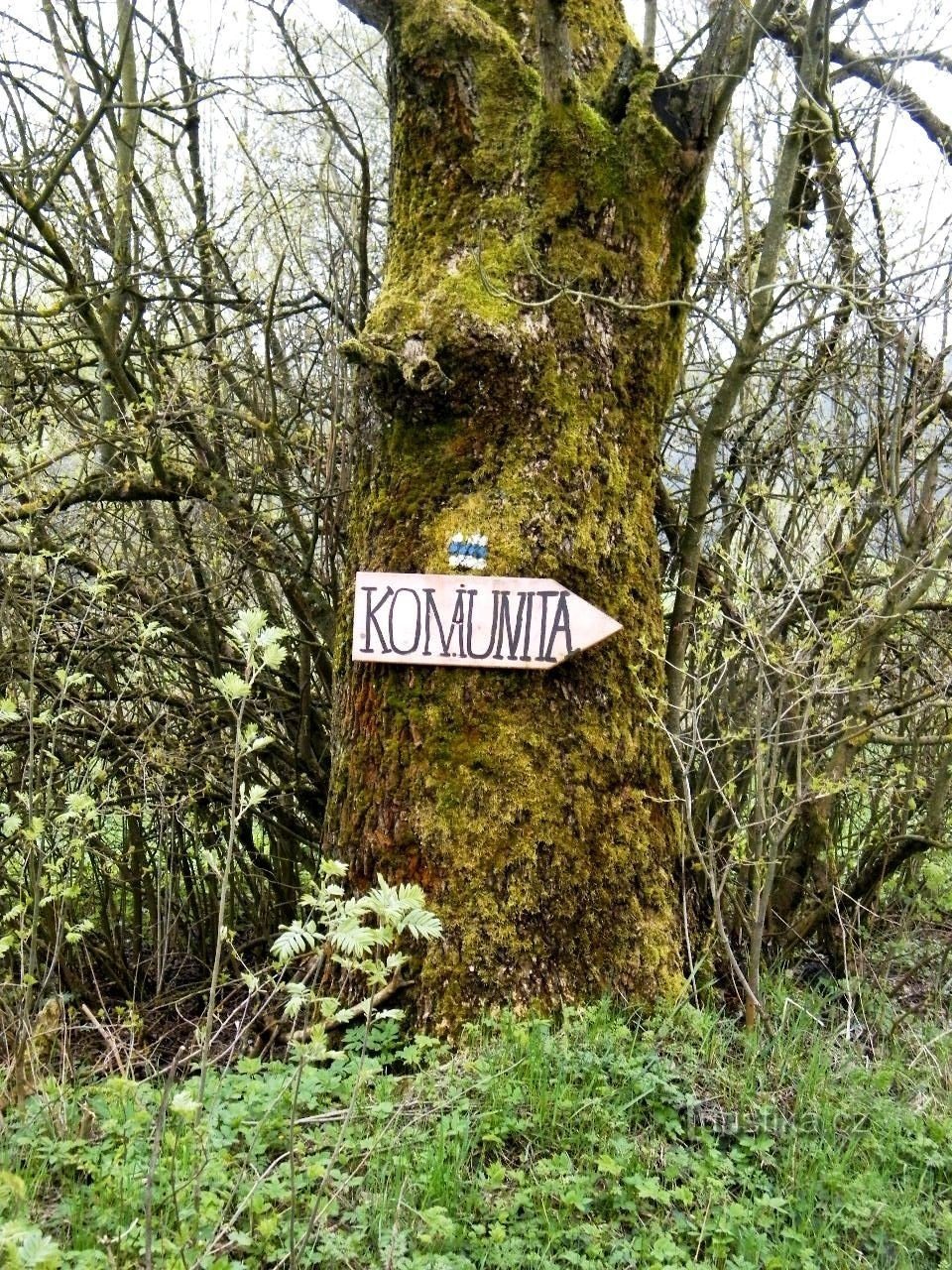 Bohemian Forest, prvi dio - Medvjeđe planine