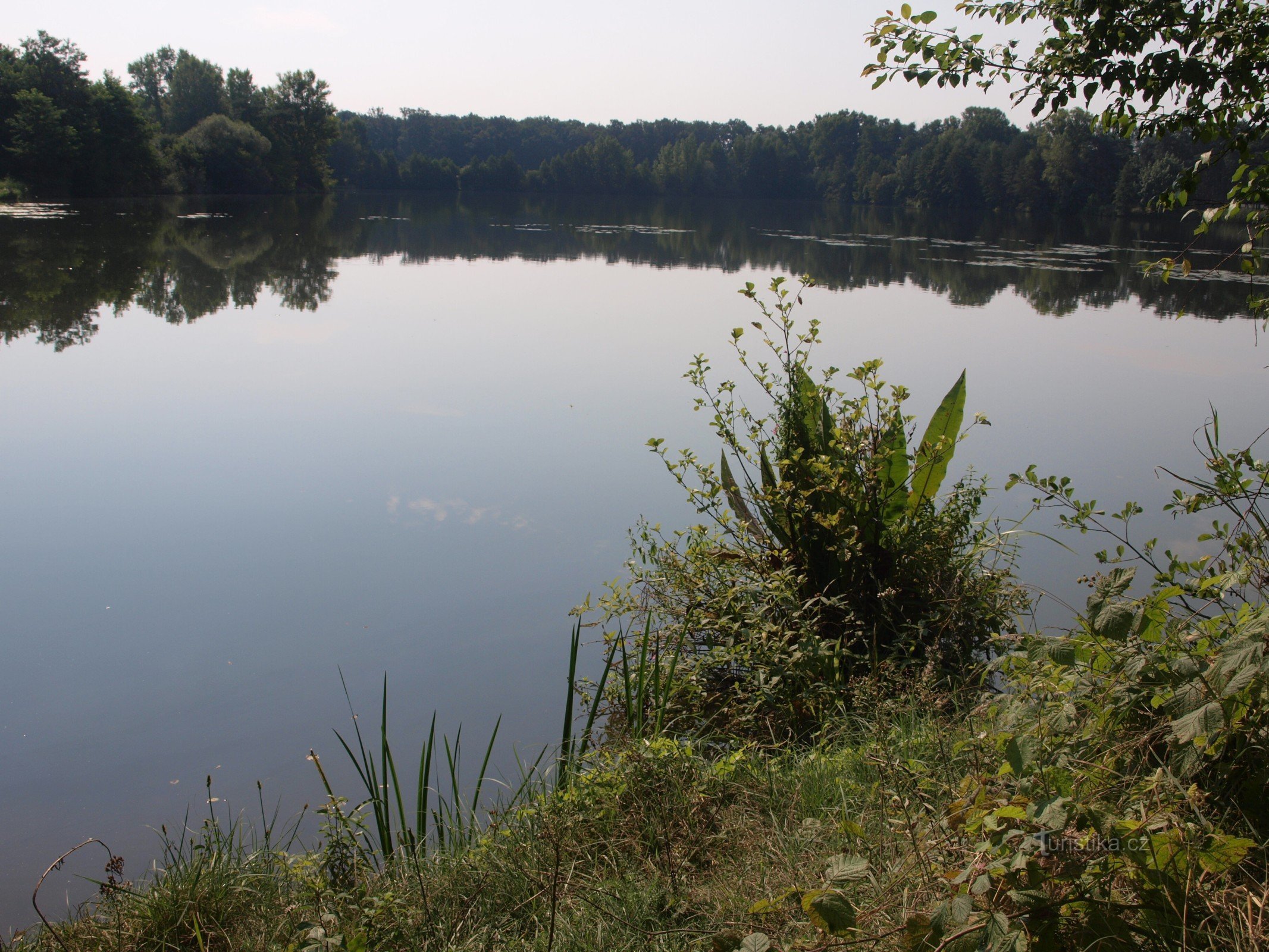 Uniunea Cehă a Protectorilor Naturii - www.csop.cz