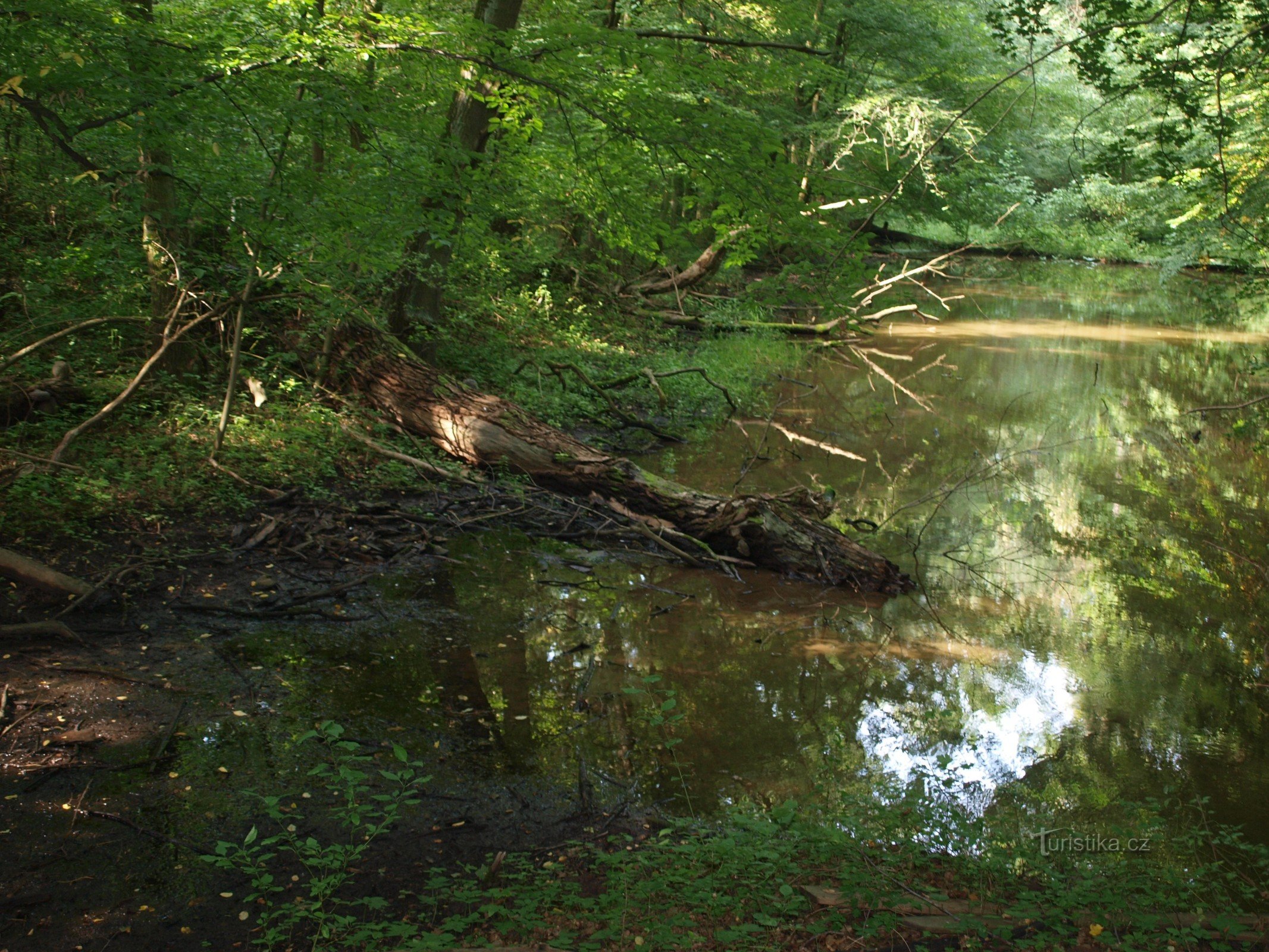 Czech Union of Nature Protectors - www.csop.cz