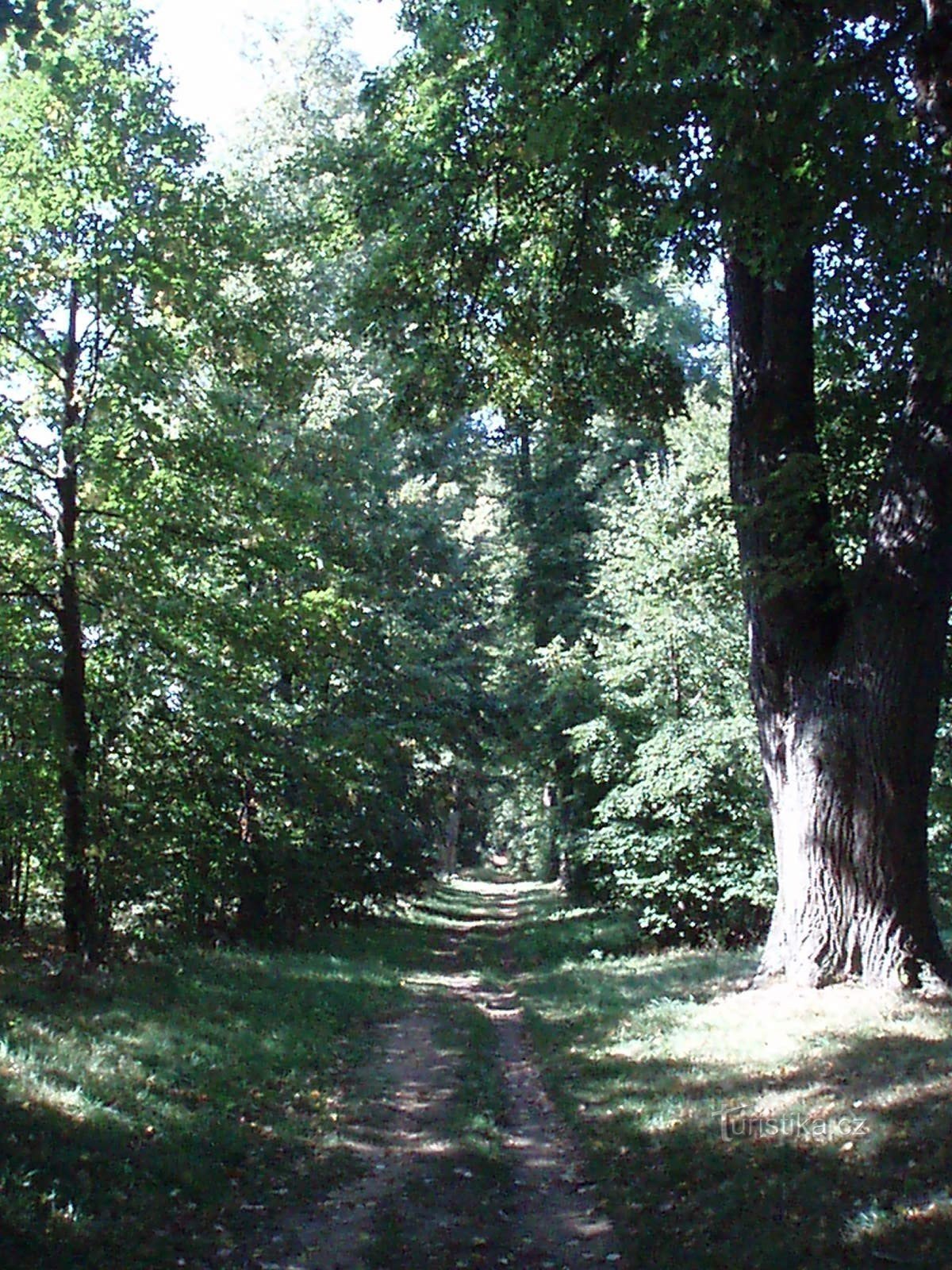 caminho das avenidas