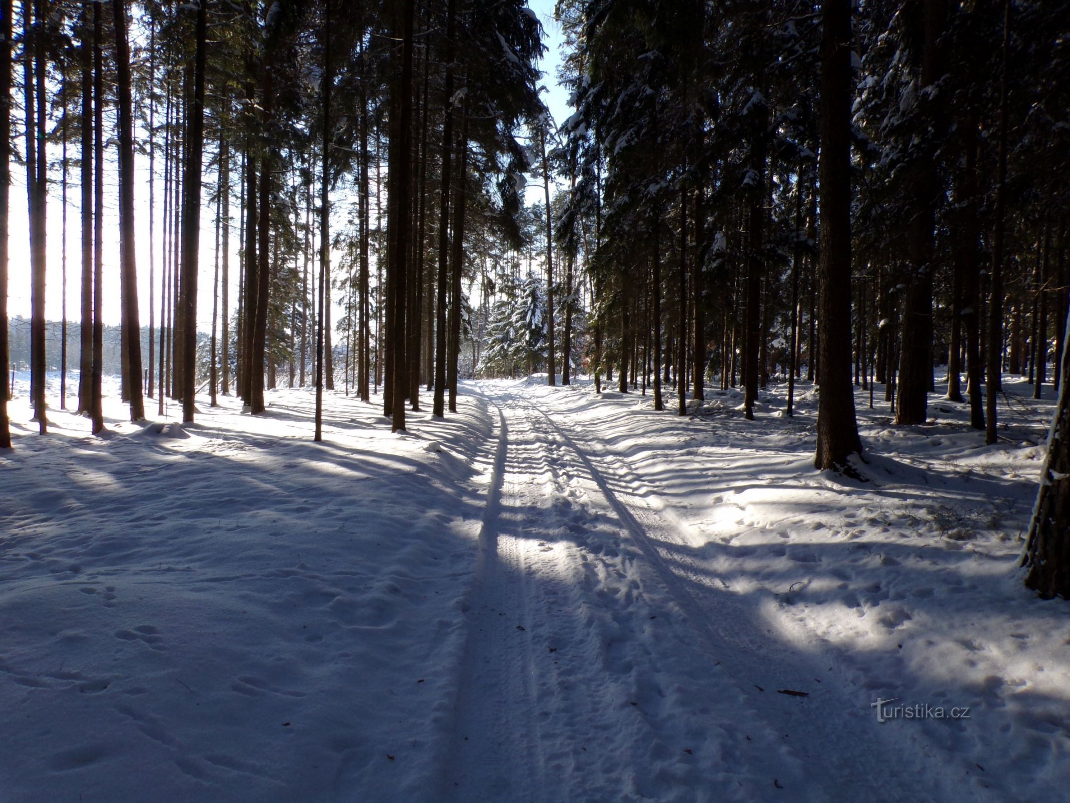 Barchovina-Straße von Zad zur Hauptstraße (Libňatov, 17.1.2021)