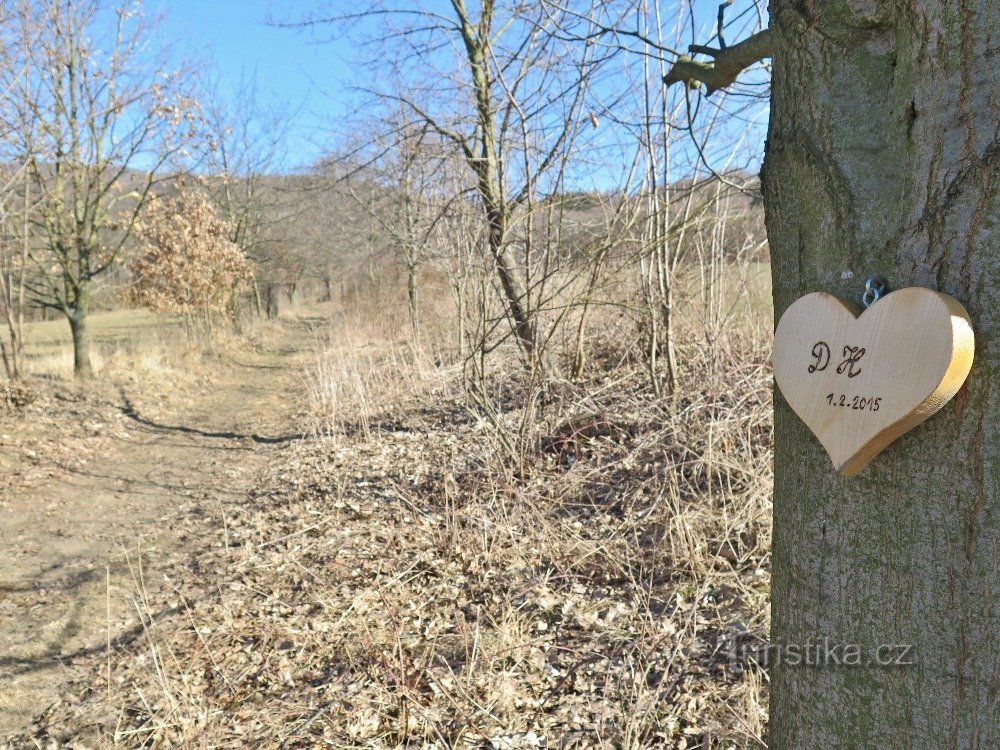 rejsen var næsten en hjertesag