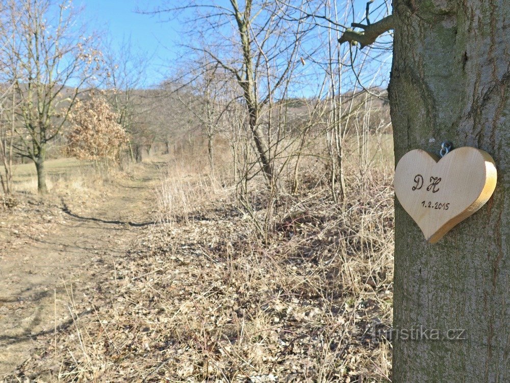 cesta byla téměř srdeční záležitostí