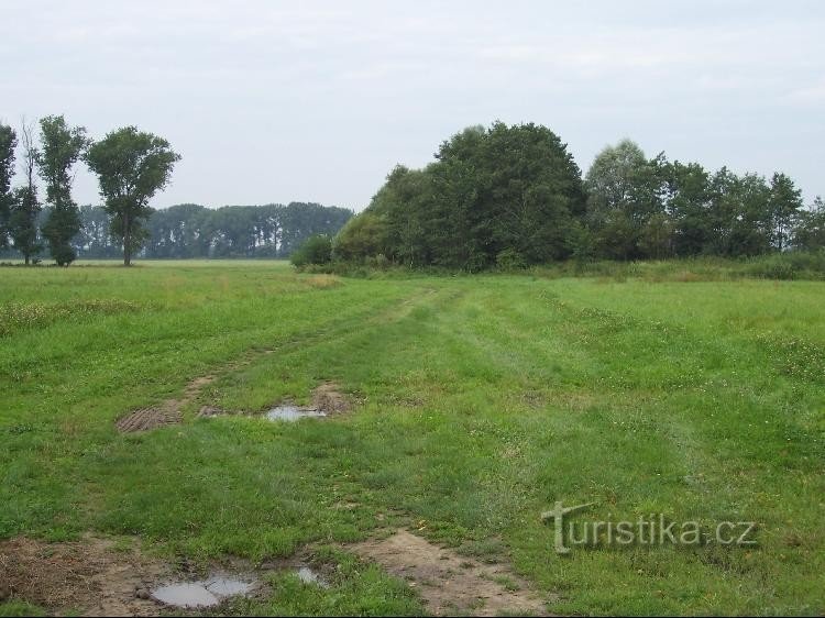 Chemin: Chemin depuis le panneau vers Hladká Životice