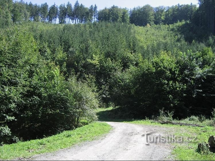 Straße: Straße in Richtung Dobešov