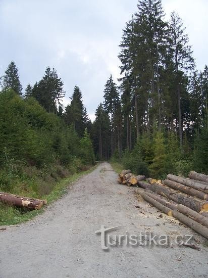 道路: Jakubčoviceへ向かう道路
