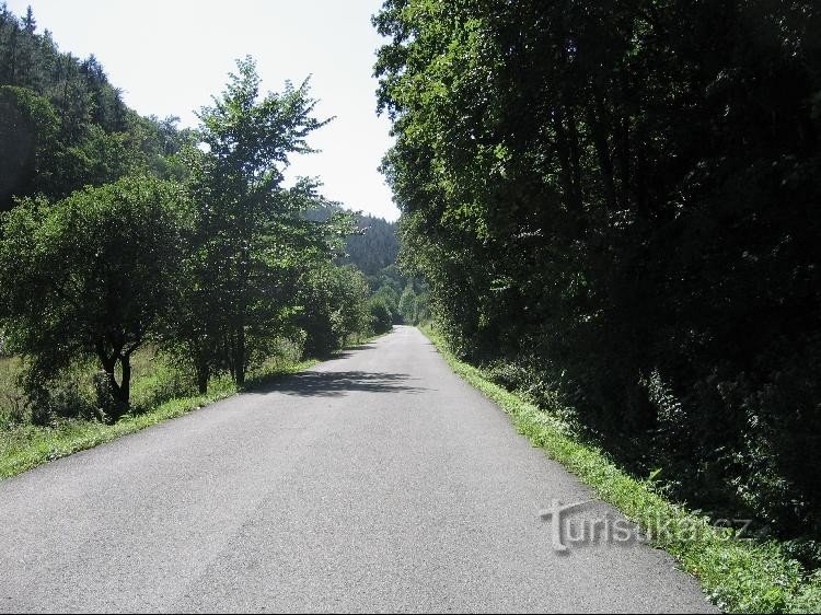 Straße: Straße in Richtung Oder