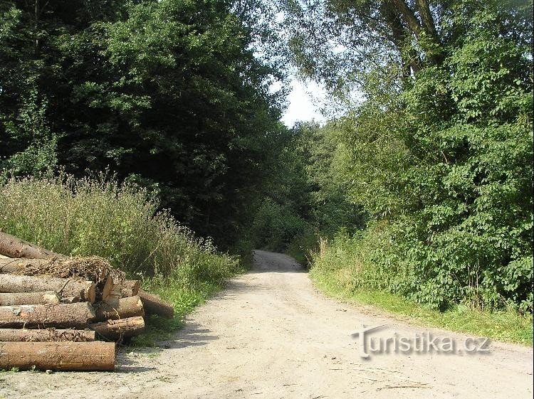 Path: Path towards Panský mlýn