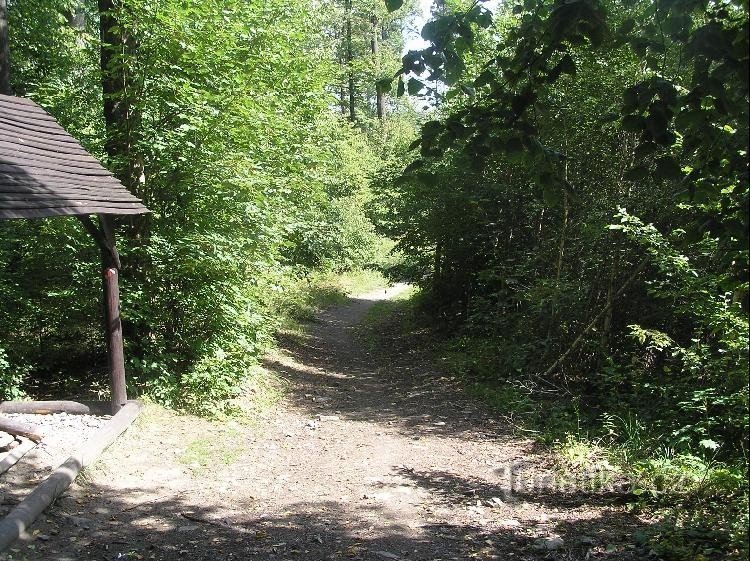 Camino: Camino hacia Papírenský splav, Žimrovice