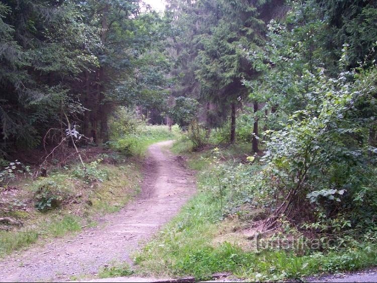 Chemin: Chemin vers Pustá Polom