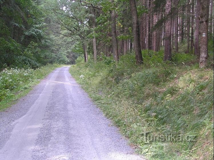 Con đường: Con đường tới Solná chata