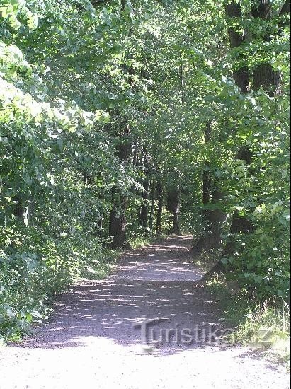 Caminho: O caminho para Štáblovický mlýn